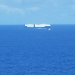 Meet your Posher, Edward